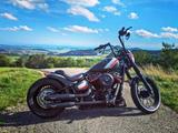 Harley-Davidson Softail Standard 107 - Offers