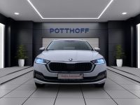 Skoda Octavia - Vorschau Bild 8