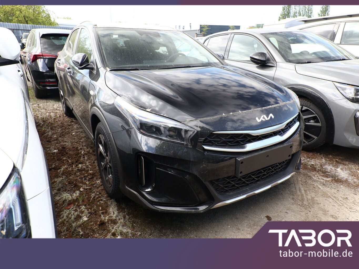 Kia XCeed - Bild 2