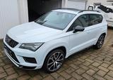 Cupra Ateca 2.0 TSI 221kW 4Drive DSG - - Cupra Ateca aus 2019