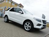 Mercedes-Benz ML 350 CDI BlueTec *Navi-Comand*Bi-Xenon*CAM*SHZ - Mercedes-Benz ML 350 in Nürnberg