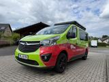 Opel Vivaro - Opel Vivaro: Grün