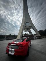 Ford Mustang 2.3 EcoBoost - GT500 Look  - Ford Mustang: Ecoboost