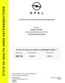 Opel Mokka Electric Elegance 11 KW Charger Multimedia