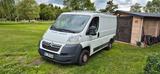 Citroën Jumper Wohnmobil - liebevoller Selbstausbau - Wohnmobil oder -wagen Selbstausbau