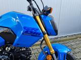 Honda MSX 125 Grom 2025 *TZ 03/26 *6 J. Garantie* - HONDA MSX