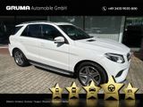Mercedes-Benz GLE 350 d 4M AMG+ILS+AHK+Distr+Standhzg.+CarPlay - Mercedes-Benz GLE 350 in Dresden
