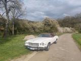 Andere Buick Regal Chevrolet Monte Carlo auch Tau... - Andere aus 1975