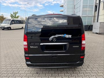 Mercedes Viano - 6
