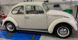 Volkswagen VW Käfer 1200 | Bj. 1965 - VW Gebrauchtwagen von 1965