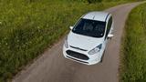Ford B-Max | 2017 | SCHECKHEFT | TÜV neu | AHK - Ford: 20m