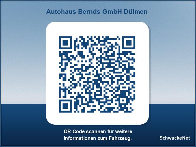 Jeep Renegade 1.3 T-GDI Automatik Limited PDC W-RÄDER