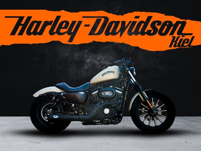 Harley-Davidson XL883N IRON SPORTSTER  Umbau auf 1200ccm -ZARD-