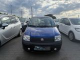 Fiat Panda 1.1 8V Active - Fiat Panda: Blau