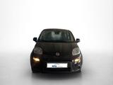 Fiat Panda Hybrid 1.0 GSE 51kw (70PS) - Fiat Panda Tageszulassungen
