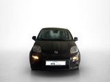 Fiat Panda Hybrid 1.0 GSE 51kw (70PS) - Fiat Panda Tageszulassungen