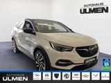 Opel Grandland Navi-Link-Tom Voll-Leder Voll-LED Alu+ - gebrauchte Opel Grandland (X) aus dem Jahr 2017