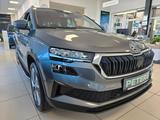 Skoda Karoq TSI DSG TOUR 360° ACC AHK Navi Vario