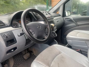 Mercedes Viano - 5
