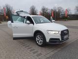 Audi Q3  U8 top top - Audi Q3 8U Gebrauchtwagen