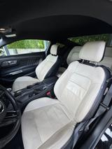 Ford Mustang 3,7 Liter V6 - Ford Mustang: V