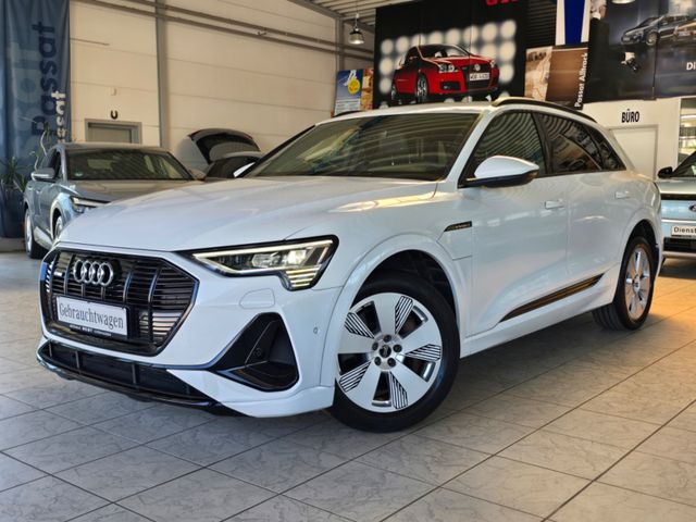 AUDI e-tron 55 quattro S line Advanced Optik-Paket LH