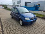 Fiat Panda 1.25 Euro 4 - Fiat Panda bis 5.000 Euro