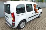 Mercedes-Benz Citan Kombi 109 CDI lang - gebrauchte Mercedes-Benz Citan aus dem Jahr 2021