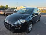 Fiat Punto 1.2 8V - Fiat Punto Gebrauchtwagen in Krefeld