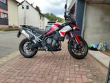 Triumph Tiger 900 GT Aragón Edition *Garantie 2027* - TRIUMPH TIGER 900