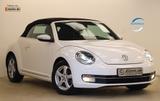 Volkswagen Beetle Cabrio 1.2 105PS Exclusive Design 1.Hand - Volkswagen Beetle Gebrauchtwagen