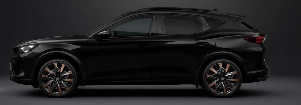 Cupra Formentor 2.0 TSI VZ imagem 3