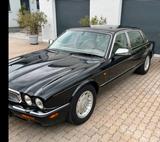 Jaguar Daimler Super V8