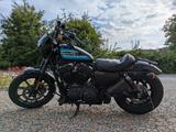 Harley-Davidson Sportster Iron 1200 (Willie G. Style) - HARLEY-DAVIDSON IRON
