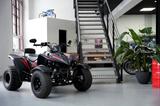 Kymco Maxxer 300 LOF | 1.Hand | - KYMCO QUAD MAXXER 300