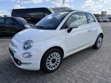 Fiat 500 C 1.0 Hybrid Dolcevita SITZHEIZUNG,CARPLAY - Fiat 500C: Sitzheizung