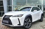 Lexus UX 250h Style Edition - Lexus Gebrauchtwagen in Augsburg