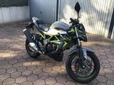 Kawasaki Z 125 - NAKED BIKE VON 126 BIS 250 CCM