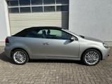 Volkswagen Golf VI Cabriolet Cup 1.4 Sitzheizung Windschott - Volkswagen Golf: Cabrio, 1cabrio
