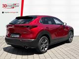 Mazda CX-30 Edition 100 2.0l MHEV +Leder +HeadUp +Sitz - gebrauchte Mazda SUV & Geländewagen
