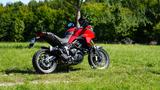 Ducati Multistrada 950 Touring - Offers