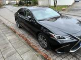 Lexus ES 300h Executive Line MwSt. ausweisbar - Lexus ES 300: Limousine