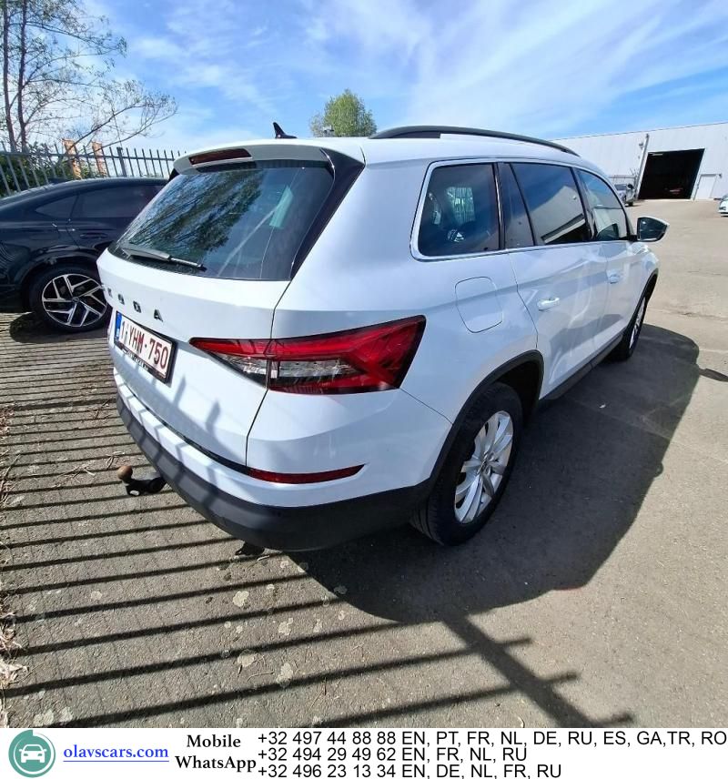 Skoda Kodiaq 2.0 TDI Pano Aut. CarPlay Navi 1/2 Sport imagem 3
