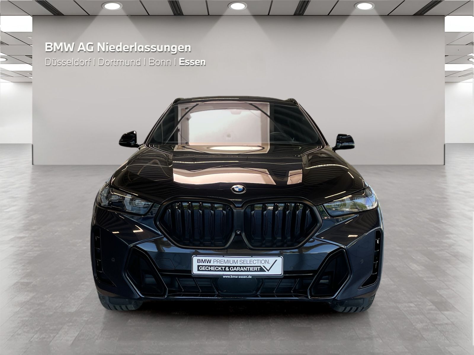 BMW X6 - Bild 8