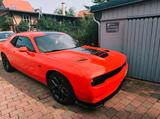 Dodge Challenger - gebrauchte Dodge Challenger aus dem Jahr 2019
