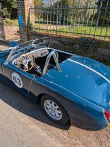 Austin Healey Andere - Austin Healey Gebrauchtwagen von 1960