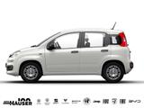 Fiat Panda ICON Hybrid 1.0 GSE KLIMA PDC 5-SITZER - Fiat: Sitzer