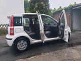 Fiat Panda 1,2l 1.Hand TÜV NEU Zahnriemen ... - Fiat Panda in Hagen