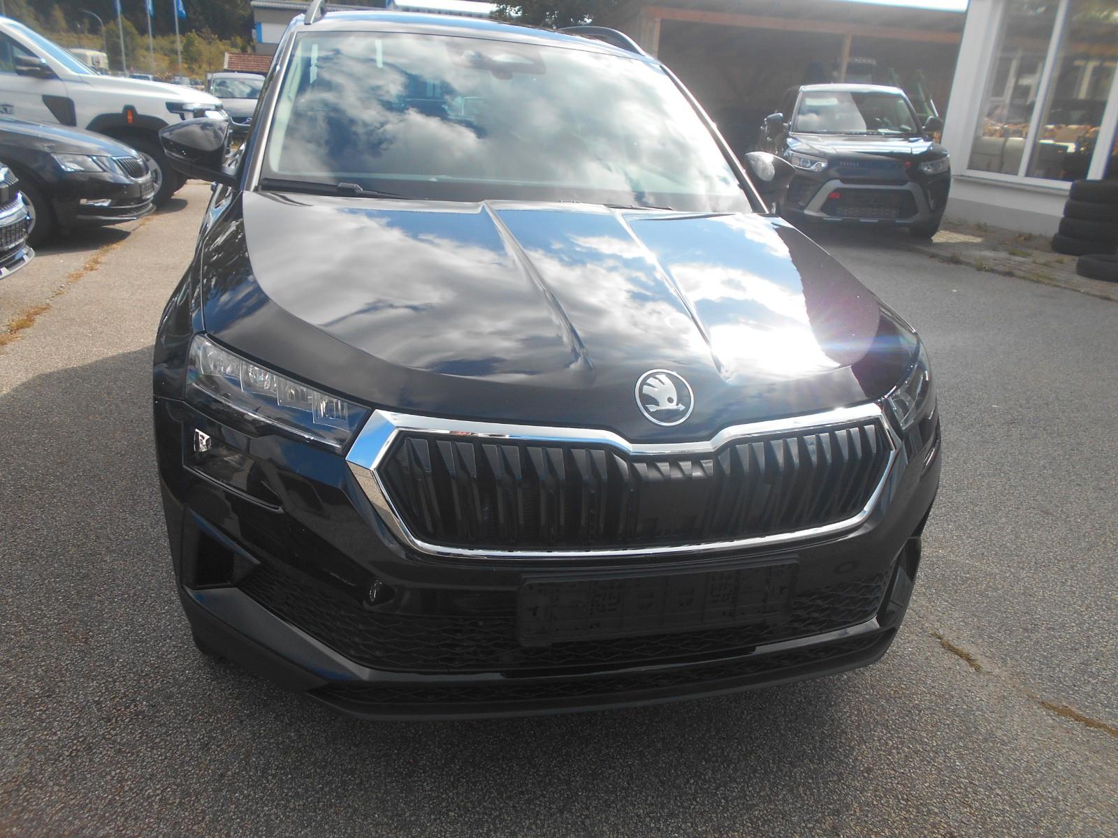 Skoda Karoq Selection