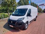 Fiat Ducato Maxi Grossr.-Kasten 35 140 L5H2 RS: 4035 - Fiat Ducato: 2.5